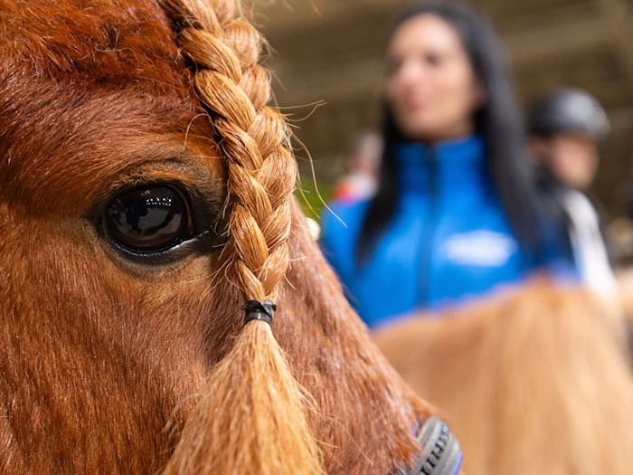 Weniger Besucher bei Freizeitmesse 'Reiten-Jagen-Fischen' in Erfurt