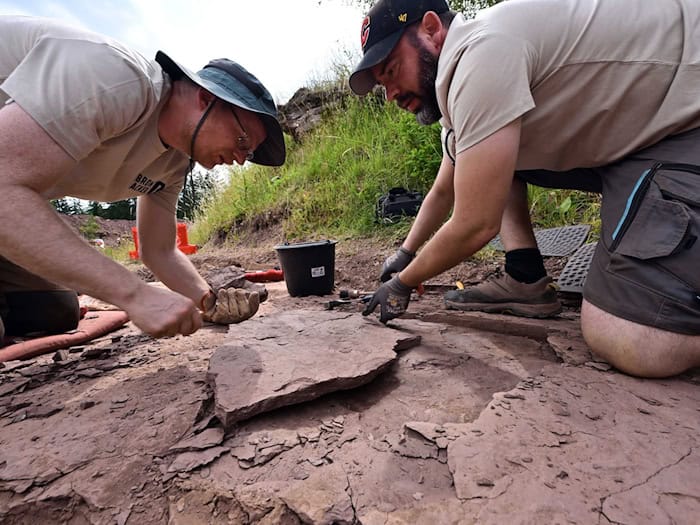 Die Fossillagerstätte Bromacker konnte bei neuen Forschungen genauer datiert werden. (Archivbild) / Foto: Martin Schutt/dpa