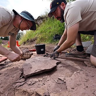 Die Fossillagerstätte Bromacker konnte bei neuen Forschungen genauer datiert werden. (Archivbild) / Foto: Martin Schutt/dpa