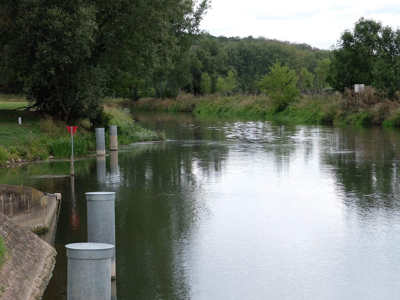 Besserer Hochwasserschutz an der Unstrut soll kommen. (Archivbild) / Foto: Sebastian Willnow/dpa-Zentralbild/dpa