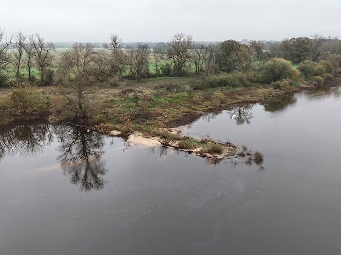 Zwölf Kameras erfassen an der Elbe jeder Tierbewegung. (Archivbild) / Foto: Sebastian Willnow/dpa