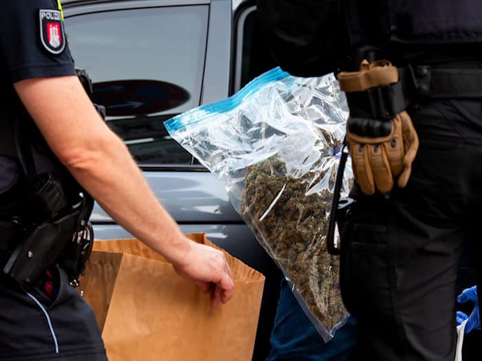Bei Durchsuchungen fand die Polizei mehr als 2,5 Kilo Cannabisblüten. (Symbolfoto)  / Foto: Daniel Bockwoldt/dpa