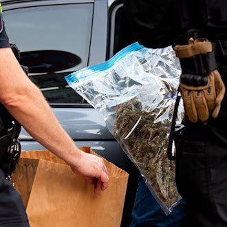 Bei Durchsuchungen fand die Polizei mehr als 2,5 Kilo Cannabisblüten. (Symbolfoto)  / Foto: Daniel Bockwoldt/dpa