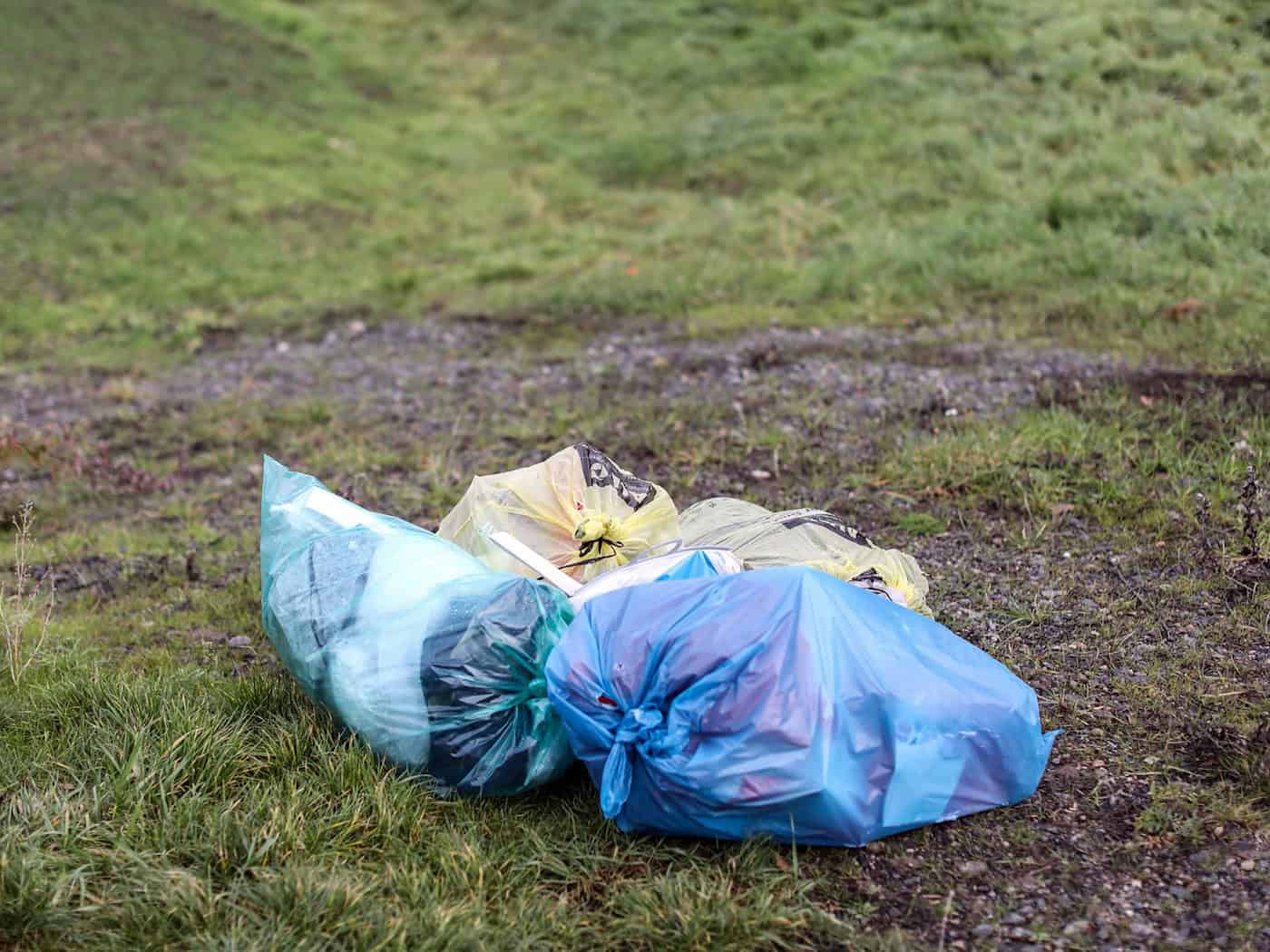 Hunderte Helfer sammelten in Jena entlang der Saale wieder große Müllmengen ein. (Symbolbild) / Foto: Jan Woitas/dpa-Zentralbild/dpa