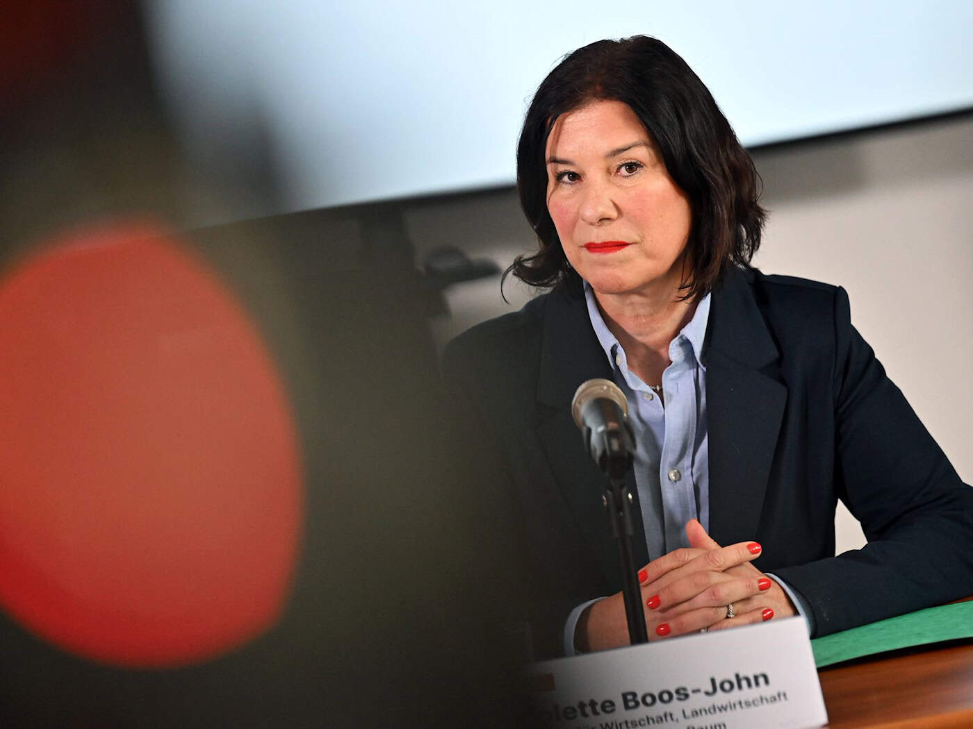 Wirtschaftsministerin Colette Boos-John (CDU) blickt besorgt auf den Iran-Krieg. (Archivbild) / Foto: Martin Schutt/dpa