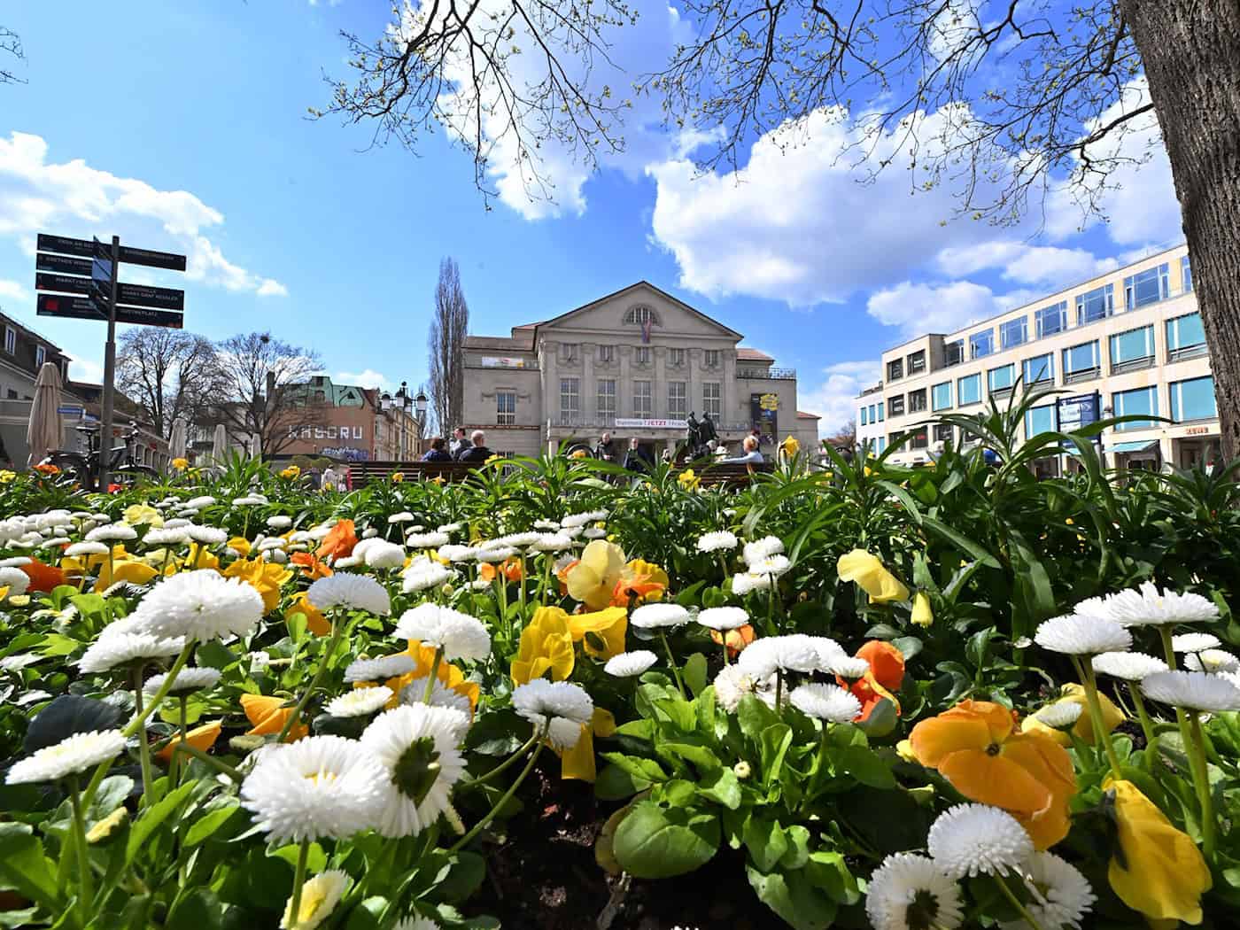 Um Beete im Frühjahr mit bunten Blumen zu zieren und somit ein Stück Lebensqualität zu schaffen, müssen die Städte in Thüringen inzwischen oft tiefer in die Tasche greifen. (Symbolbild)  / Foto: Martin Schutt/dpa