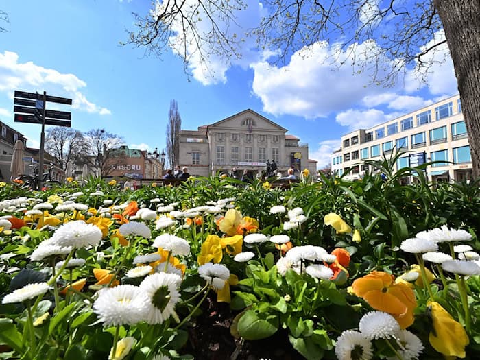 Um Beete im Frühjahr mit bunten Blumen zu zieren und somit ein Stück Lebensqualität zu schaffen, müssen die Städte in Thüringen inzwischen oft tiefer in die Tasche greifen. (Symbolbild)  / Foto: Martin Schutt/dpa