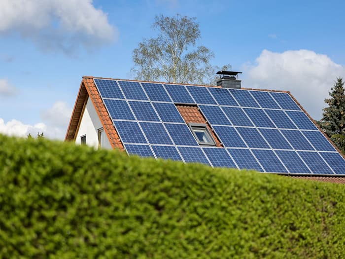 Im Streit um eine Hecke wurden zwei Nachbarn handgreiflich. (Symbolbild) / Foto: Jan Woitas/dpa-Zentralbild/dpa