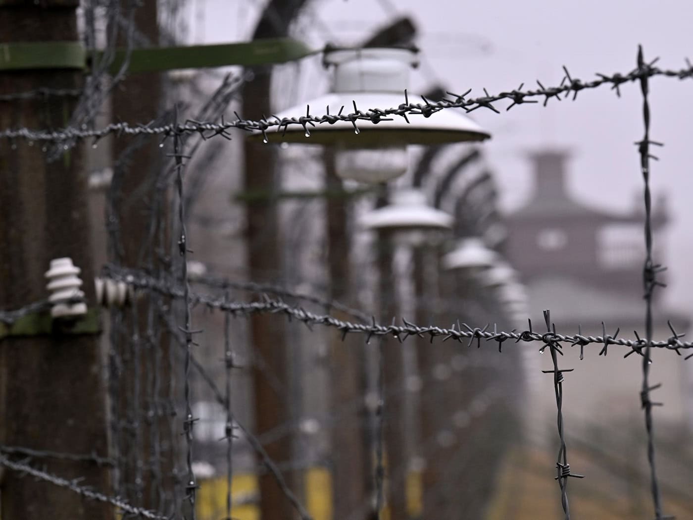Ein geplanter Auftritt des Kulturstaatsministers Wolfram Weimer beim Gedenken zum Jahrestag der Befreiung des ehemaligen Konzentrationslagers Buchenwald ist umstritten. (Archivbild) / Foto: Martin Schutt/dpa