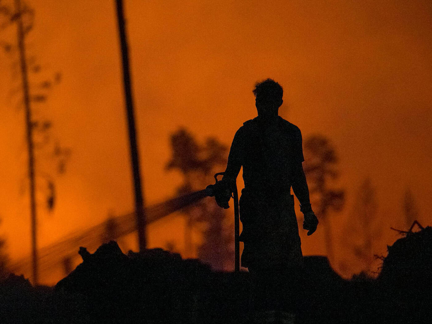 In Thüringen wütete im Sommer 2025 auf der Saalfelder Höhe das bis dahin größte Feuer der aktuellen Waldbrandstatistik. (Archivbild) / Foto: Daniel Vogl/dpa