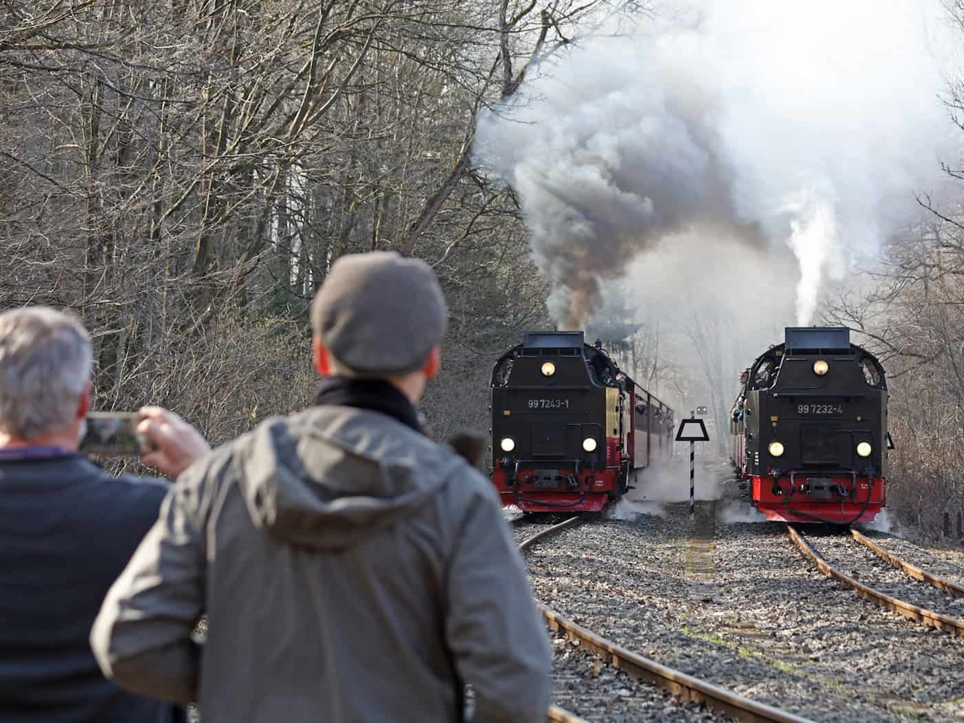 Die Harzer Schmalspurbahnen blicken trotz weniger Fahrgästen auf ein solides Jahr 2025 zurück. (Archivbild) / Foto: Matthias Bein/dpa