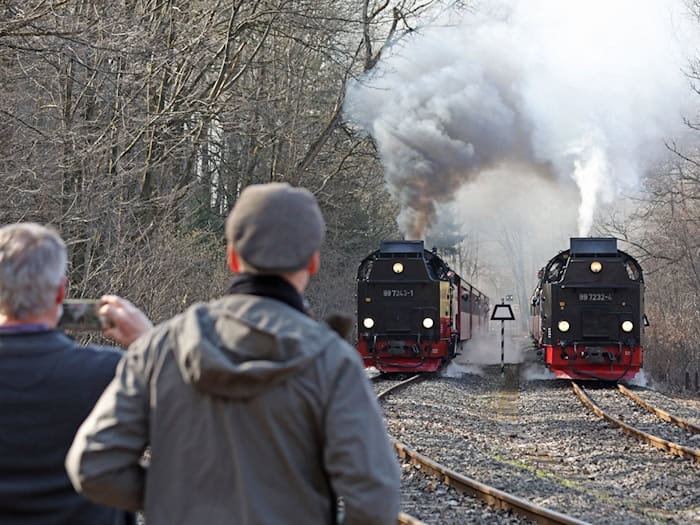 Die Harzer Schmalspurbahnen blicken trotz weniger Fahrgästen auf ein solides Jahr 2025 zurück. (Archivbild) / Foto: Matthias Bein/dpa
