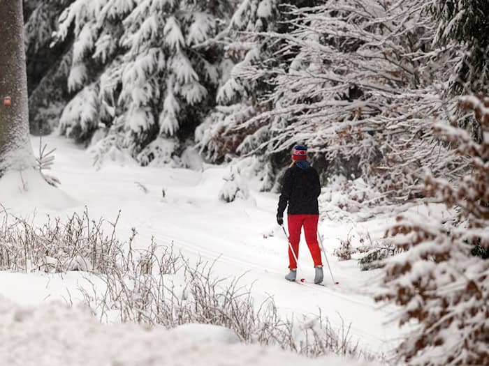 In diesem Jahr gab es reichlich Schnee im Thüringer Wald. (Symbolbild) / Foto: Michael Reichel/dpa