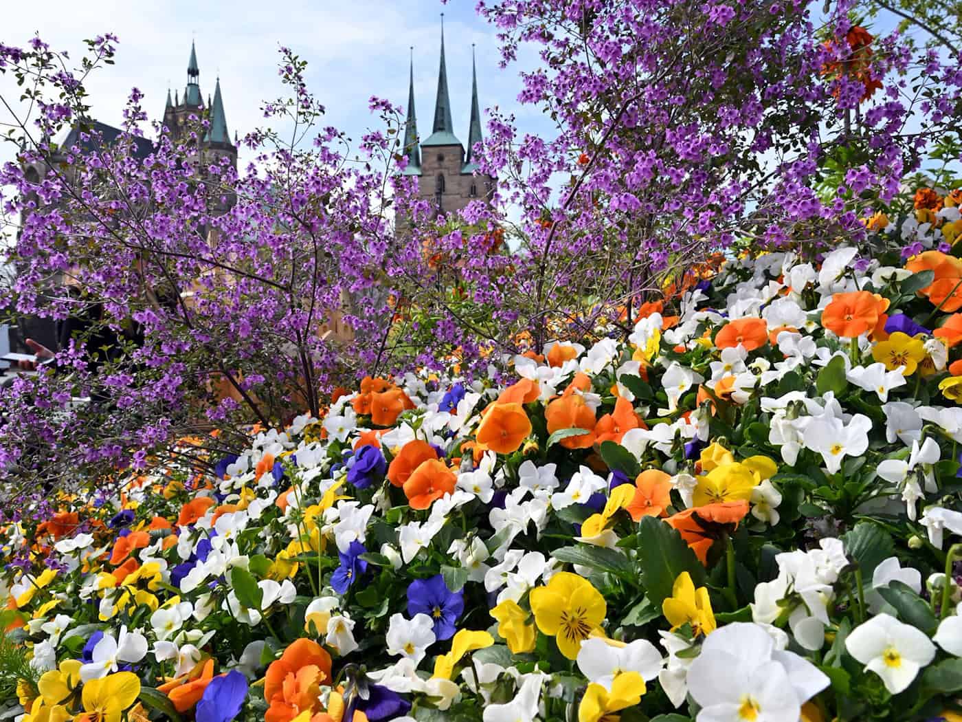 Milder, trockener und sonniger als in Vergleichsjahren - das war der April in Thüringen. (Symbolbild) / Foto: Martin Schutt/dpa