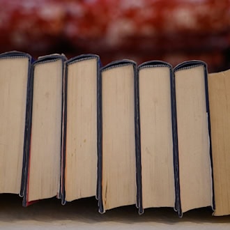 Ein Betrüger hat einen Mann, der seine Lexika-Sammlung verkaufen wollte, im Saale-Holzland-Kreis um Geld gebracht. (Symbolbild) / Foto: Robert Michael/dpa