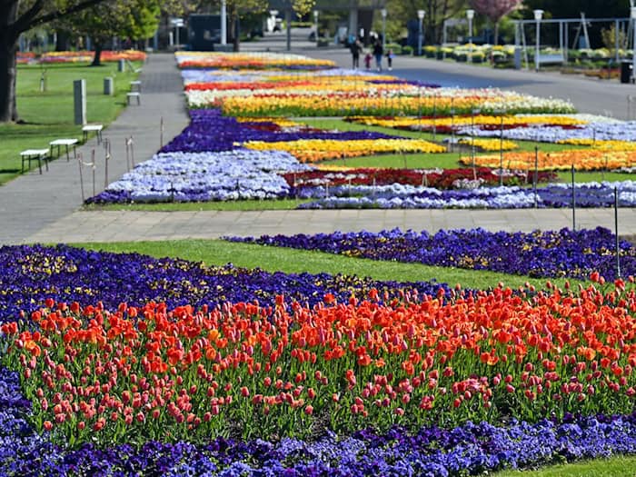 Der Erfurter egapark ist ein blühendes Denkmal. Er besteht seit 65 Jahren.   / Foto: Martin Schutt/dpa