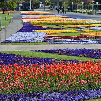 Der Erfurter egapark ist ein blühendes Denkmal. Er besteht seit 65 Jahren.   / Foto: Martin Schutt/dpa