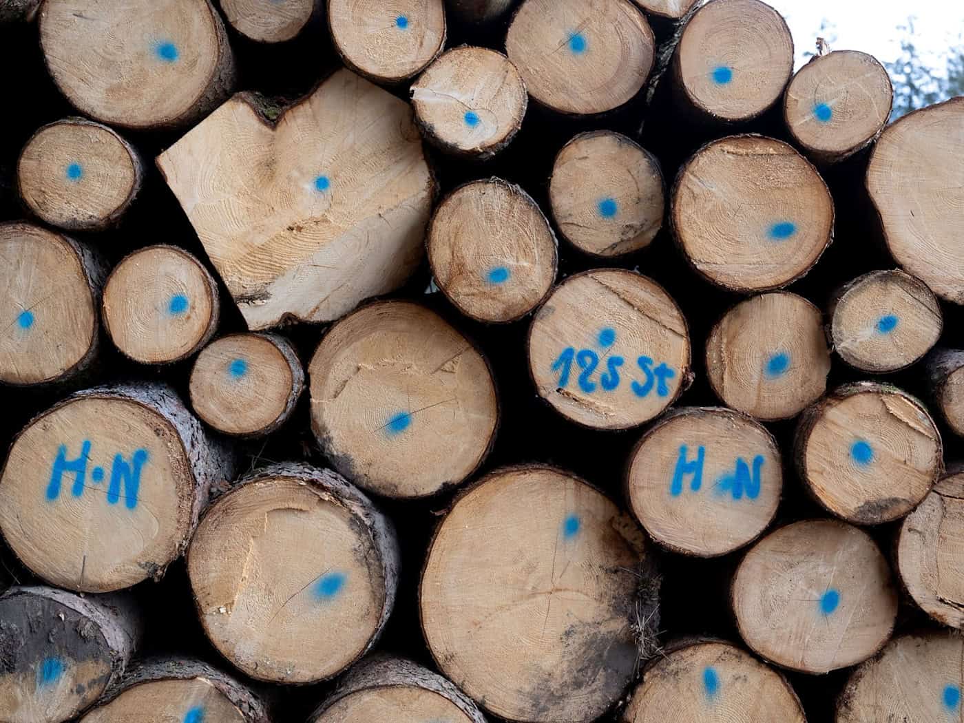 Die Nachfrage nach Brennholz schätzt Thüringenforst als stabil ein. (Symbolbild) / Foto: Sven Hoppe/dpa