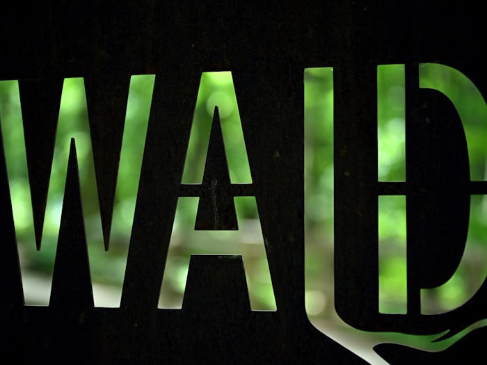 Nach dem Willen der CDU-Landtagsfraktion soll beim Errichten von Gebäuden der Mindestabstand zum Wald von 30 auf 10 Meter reduziert werden. (Symbolbild) / Foto: Martin Schutt/dpa