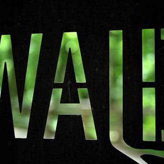 Nach dem Willen der CDU-Landtagsfraktion soll beim Errichten von Gebäuden der Mindestabstand zum Wald von 30 auf 10 Meter reduziert werden. (Symbolbild) / Foto: Martin Schutt/dpa