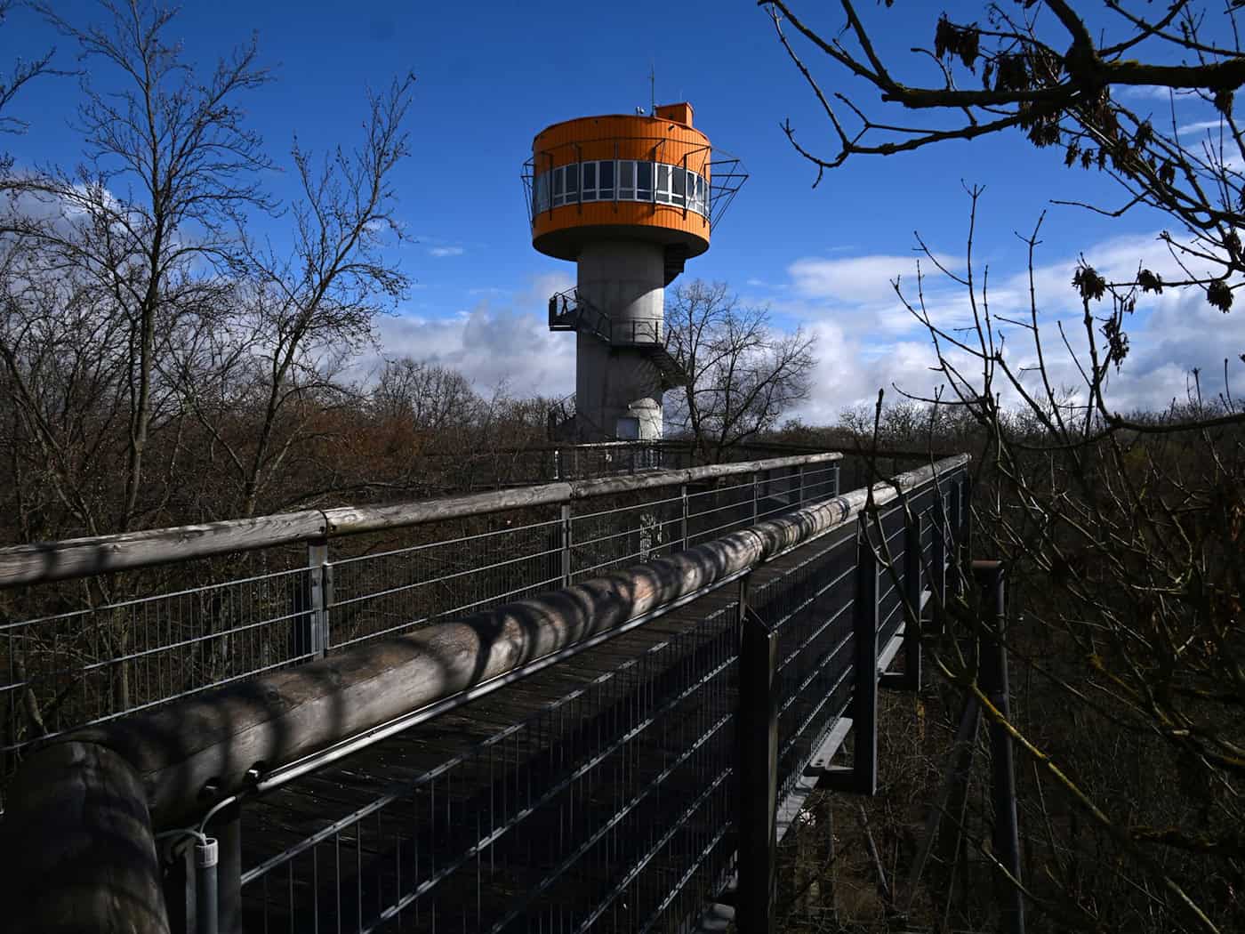 Naturerlebnis auf dem Baumkronenpfad im Nationalpark Hainich.  / Foto: Martin Schutt/dpa