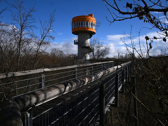 Naturerlebnis auf dem Baumkronenpfad im Nationalpark Hainich.  / Foto: Martin Schutt/dpa