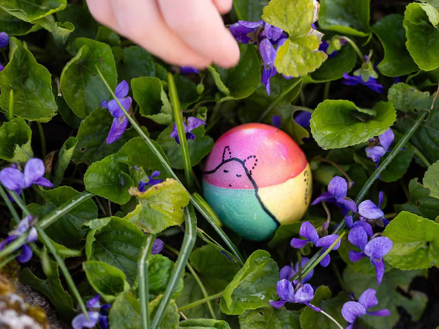Am Ostersonntag werden in Thüringen Sonne, Regen und Wind erwartet. (Archivbild) / Foto: Michael Reichel/dpa