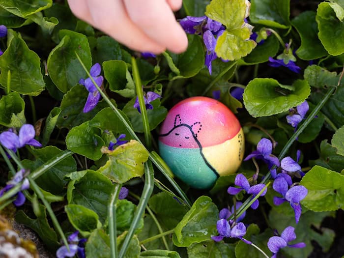 Am Ostersonntag werden in Thüringen Sonne, Regen und Wind erwartet. (Archivbild) / Foto: Michael Reichel/dpa