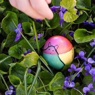 Am Ostersonntag werden in Thüringen Sonne, Regen und Wind erwartet. (Archivbild) / Foto: Michael Reichel/dpa