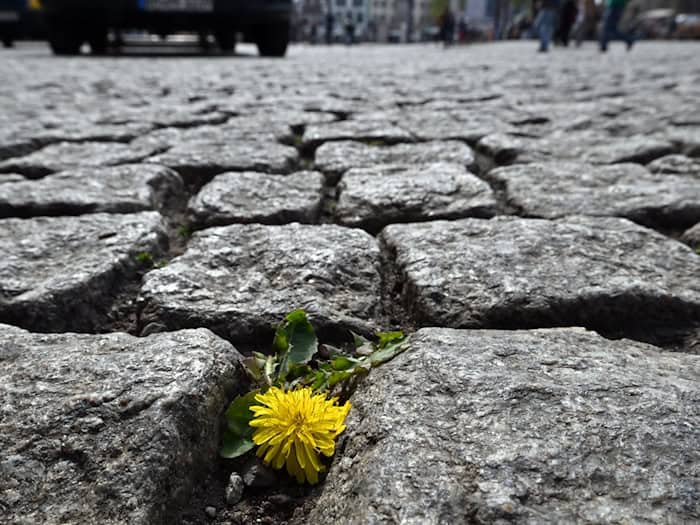In Thüringen wird das Wetter wieder freundlicher. (Symbolbild) / Foto: Martin Schutt/dpa