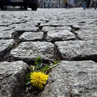 In Thüringen wird das Wetter wieder freundlicher. (Symbolbild) / Foto: Martin Schutt/dpa
