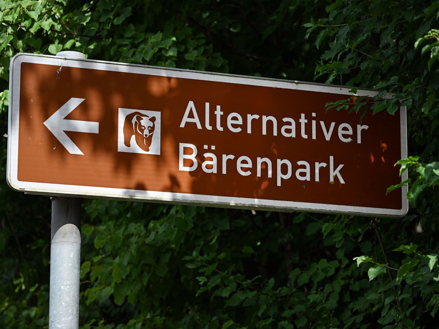 Der Alternative Bärenpark in Worbis erhält keine direkten staatlichen Subventionen für den laufenden Betrieb, was ihn von klassischen Zoos unterscheidet. (Archivbild) / Foto: Martin Schutt/dpa