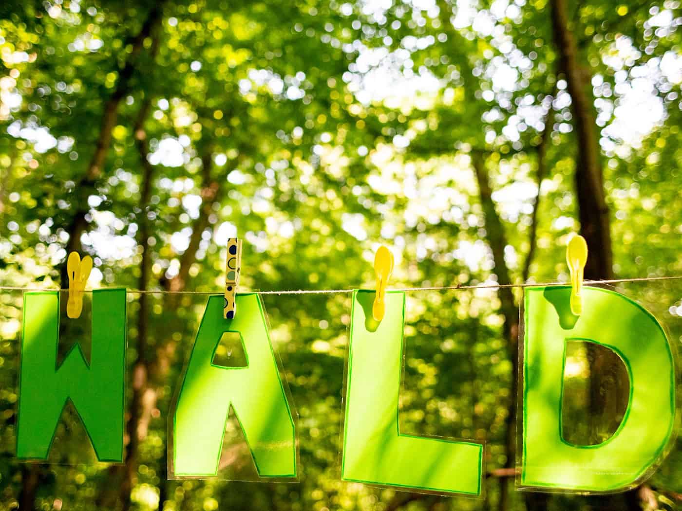 Die Thüringer Waldjugendspiele finden seit 1992 statt. (Archivbild) / Foto: Christoph Soeder/dpa