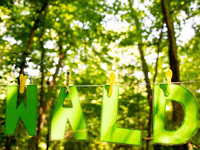 Die Thüringer Waldjugendspiele finden seit 1992 statt. (Archivbild) / Foto: Christoph Soeder/dpa