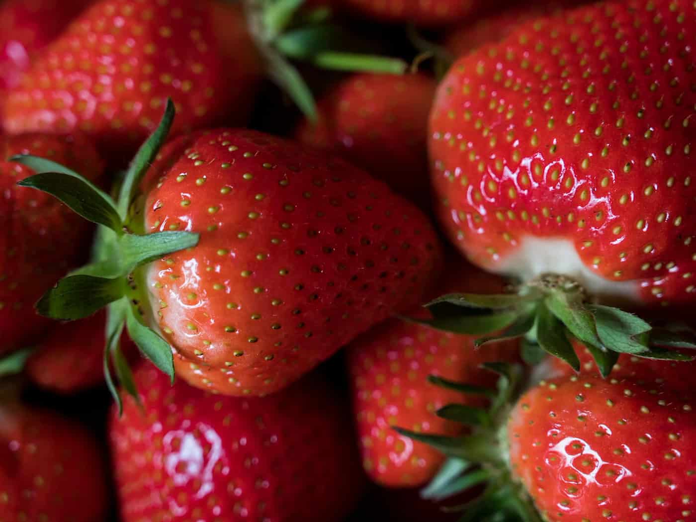 Offizieller Start für die Erdbeer-Saison ist im Mai, aber schon jetzt gibt es die Chance auf erste heimische Früchtchen. (Symbolbild)  / Foto: Jens-Ulrich Koch/dpa-Zentralbild/dpa