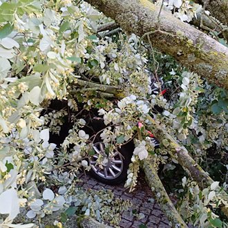 Sturm, Hagel und Blitz richteten vergangenes Jahr in Thüringen deutlich weniger Schäden an Autos an. (Archivbild) / Foto: Wolfram Steinberg/dpa
