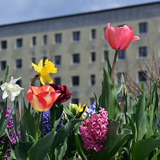 Vom 23. April bis zum 11. Oktober ist die Landesgartenschau in Leinefelde-Worbis im Eichsfeld geöffnet. / Foto: Martin Schutt/dpa