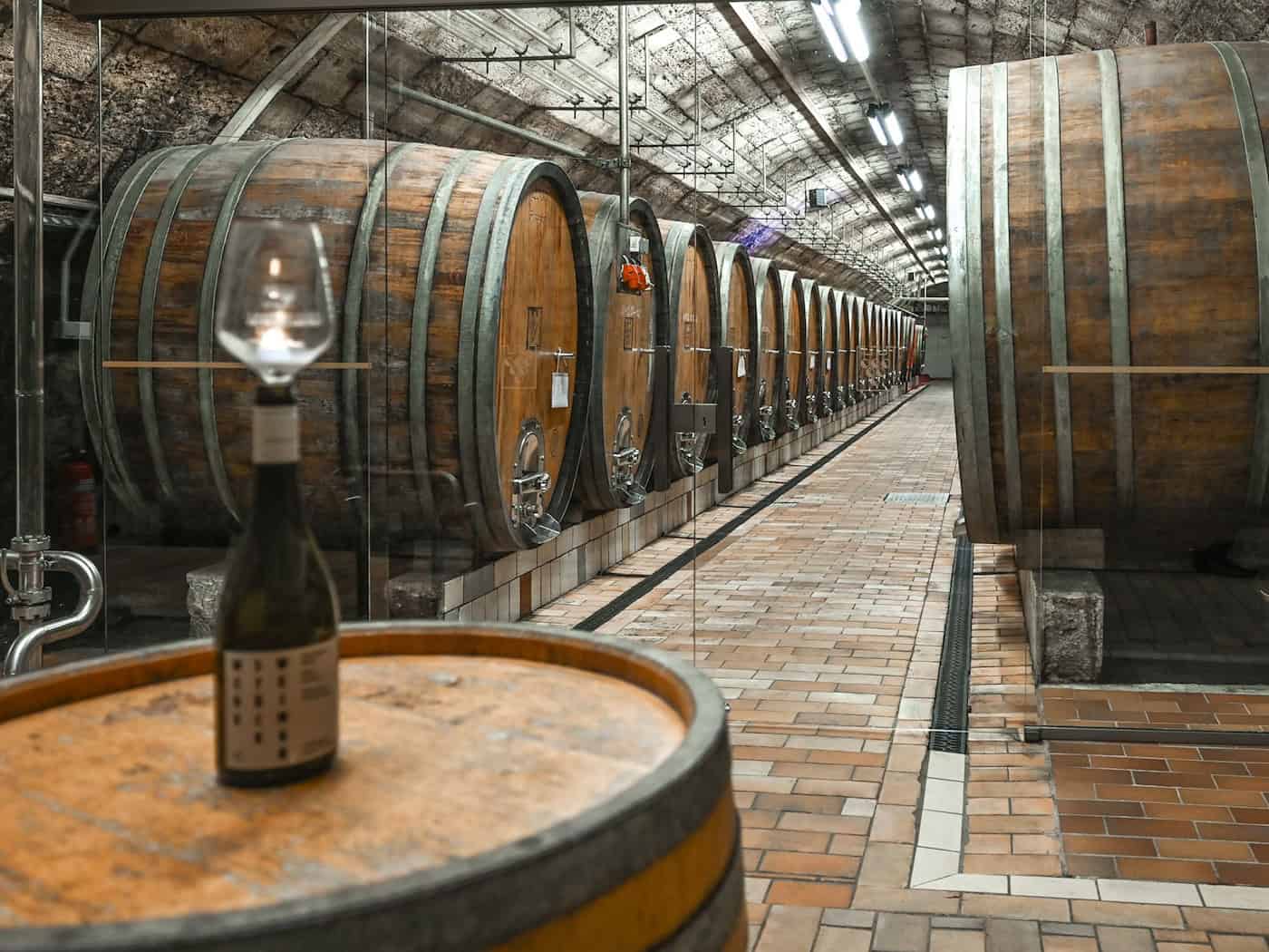 Winzer in Thüringen und Sachsen-Anhalt froh über volle Weinkeller. (Symbolbild)  / Foto: Heiko Rebsch/dpa/ZB