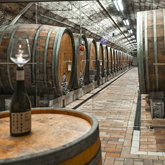 Winzer in Thüringen und Sachsen-Anhalt froh über volle Weinkeller. (Symbolbild)  / Foto: Heiko Rebsch/dpa/ZB