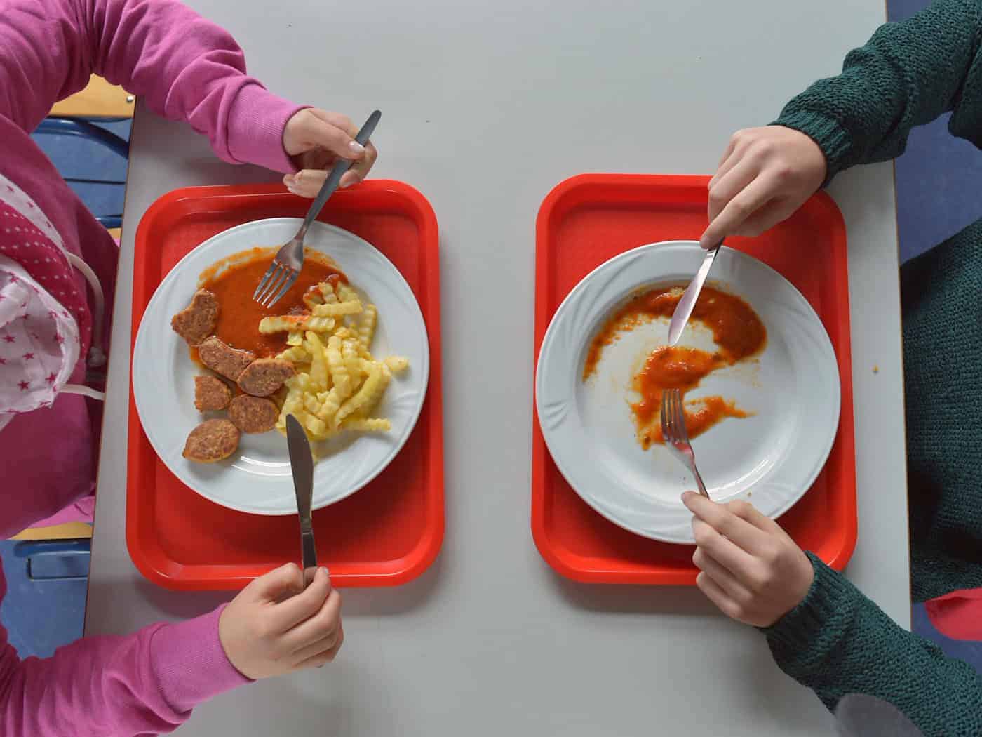 In den Landkreisen Eichsfeld, Gotha, Greiz und Schmalkalden-Meiningen wird das Schulessen bereits durch die Kommunen bezuschusst. (Symbolbild) / Foto: Ralf Hirschberger/dpa-Zentralbild/dpa