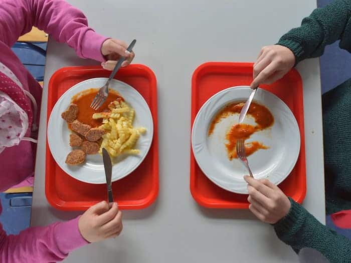 In den Landkreisen Eichsfeld, Gotha, Greiz und Schmalkalden-Meiningen wird das Schulessen bereits durch die Kommunen bezuschusst. (Symbolbild) / Foto: Ralf Hirschberger/dpa-Zentralbild/dpa