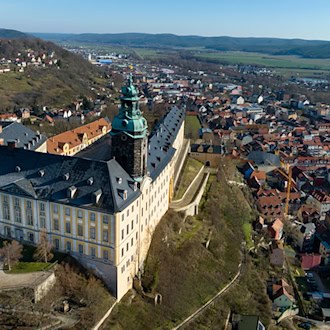 Das Thüringer Landesmuseum Heidecksburg tätigt pro Jahr im Schnitt zwei bis drei Ankäufe auf Auktionen. (ArchivbildI) / Foto: Michael Reichel/dpa-Zentralbild/dpa