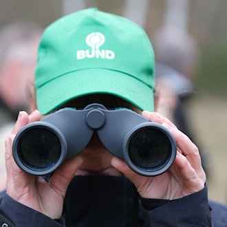 Der BUND Thüringen äußert sich besorgt über die aktuelle Umweltpolitik der Brombeerkoalition. (Symbolbild) / Foto: Sebastian Willnow/dpa