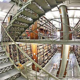 Mit dem neuen Projekt kommen zu den knapp 260.000 bereits digitalisierten Ausgaben weitere 126.000 Ausgaben mit insgesamt 952.000 Seiten hinzu. (Archivbild) / Foto: Jan Woitas/dpa