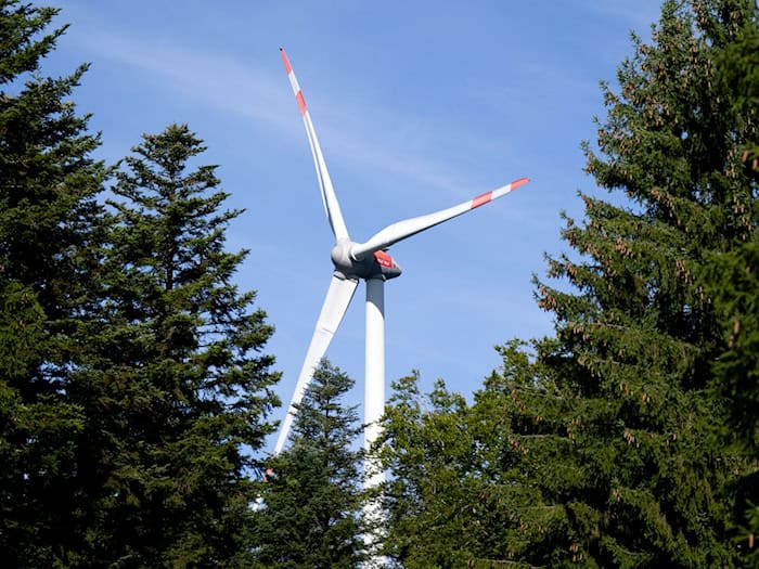 Die Jäger in Thüringen fürchten den Bau von Windrädern im Wald. (Symbolbild) / Foto: Sven Hoppe/dpa