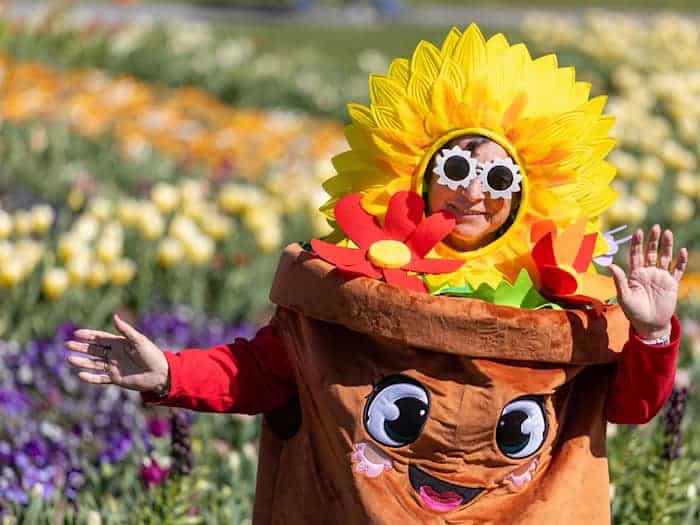 Zum Familientag bei der Landesgartenschau am Sonntag wirbt Thüringen für Grüne Berufe. (Archivbild)  / Foto: Michael Reichel/dpa