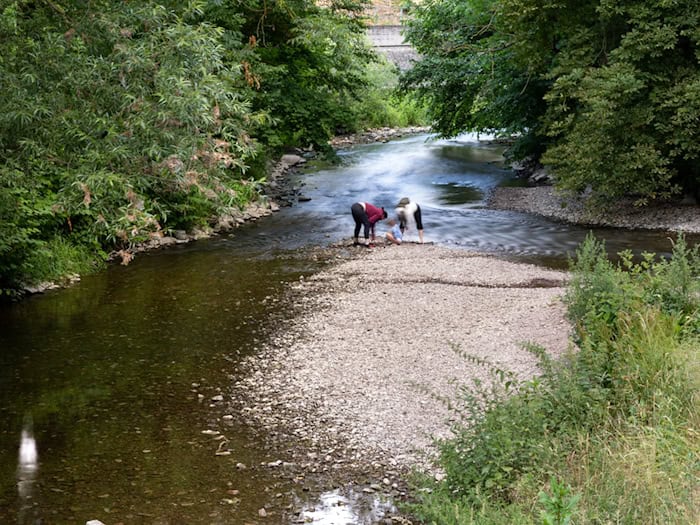 Weniger Wasser aus der Schmalwasser-Talsperre für den Fluss Apfelstädt. (Archivbild) / Foto: Michael Reichel/dpa