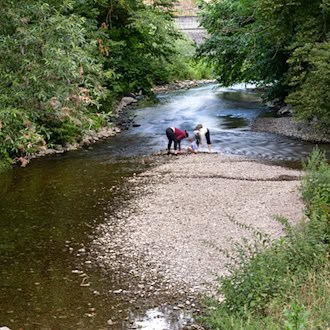 Weniger Wasser aus der Schmalwasser-Talsperre für den Fluss Apfelstädt. (Archivbild) / Foto: Michael Reichel/dpa