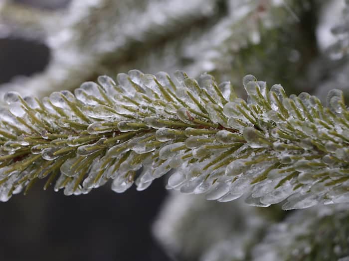 Der Schnee ist zumindest vorübergehend wieder zurück, auch hier im Harz. (Symbolbild) / Foto: Matthias Bein/dpa
