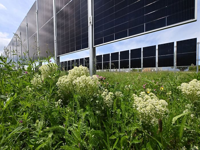 Wie kann Landwirtschaft und Energieerzeugung verbunden werden? - Testanlagen in Erfurt.   / Foto: Martin Schutt/dpa